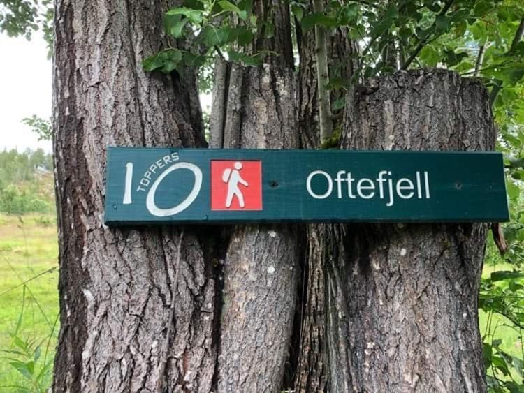 Sjarmerende Overnatting Sentralt I Vest-Telemark Hoydalsmo Экстерьер фото